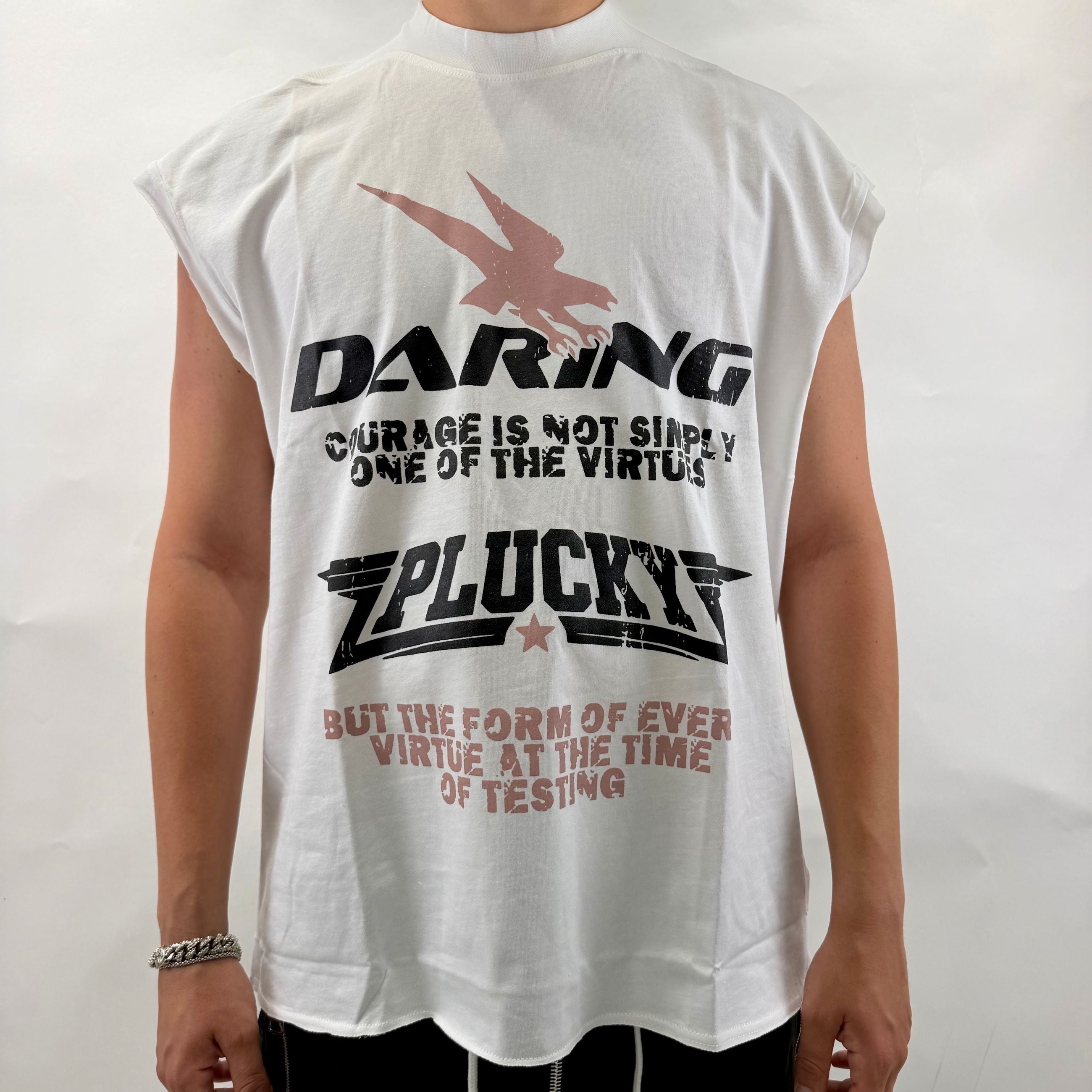 Sleev Daring Panna